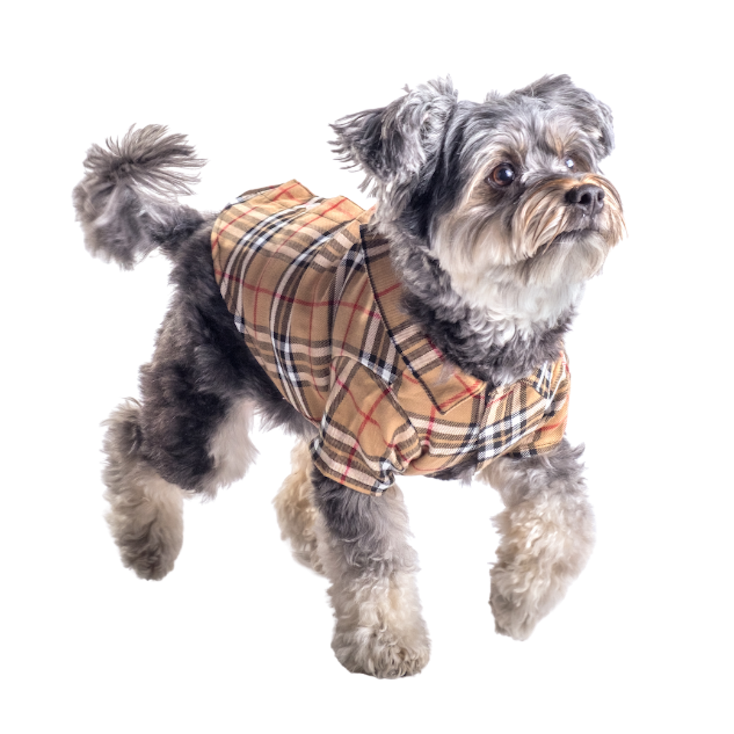Shirt | Bias Plaid Tan