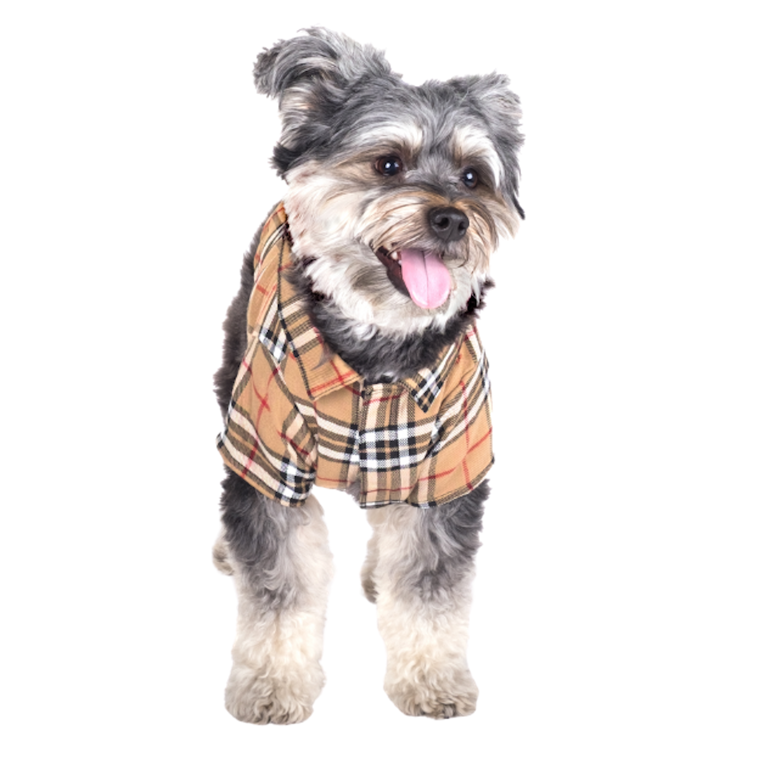 Shirt | Bias Plaid Tan
