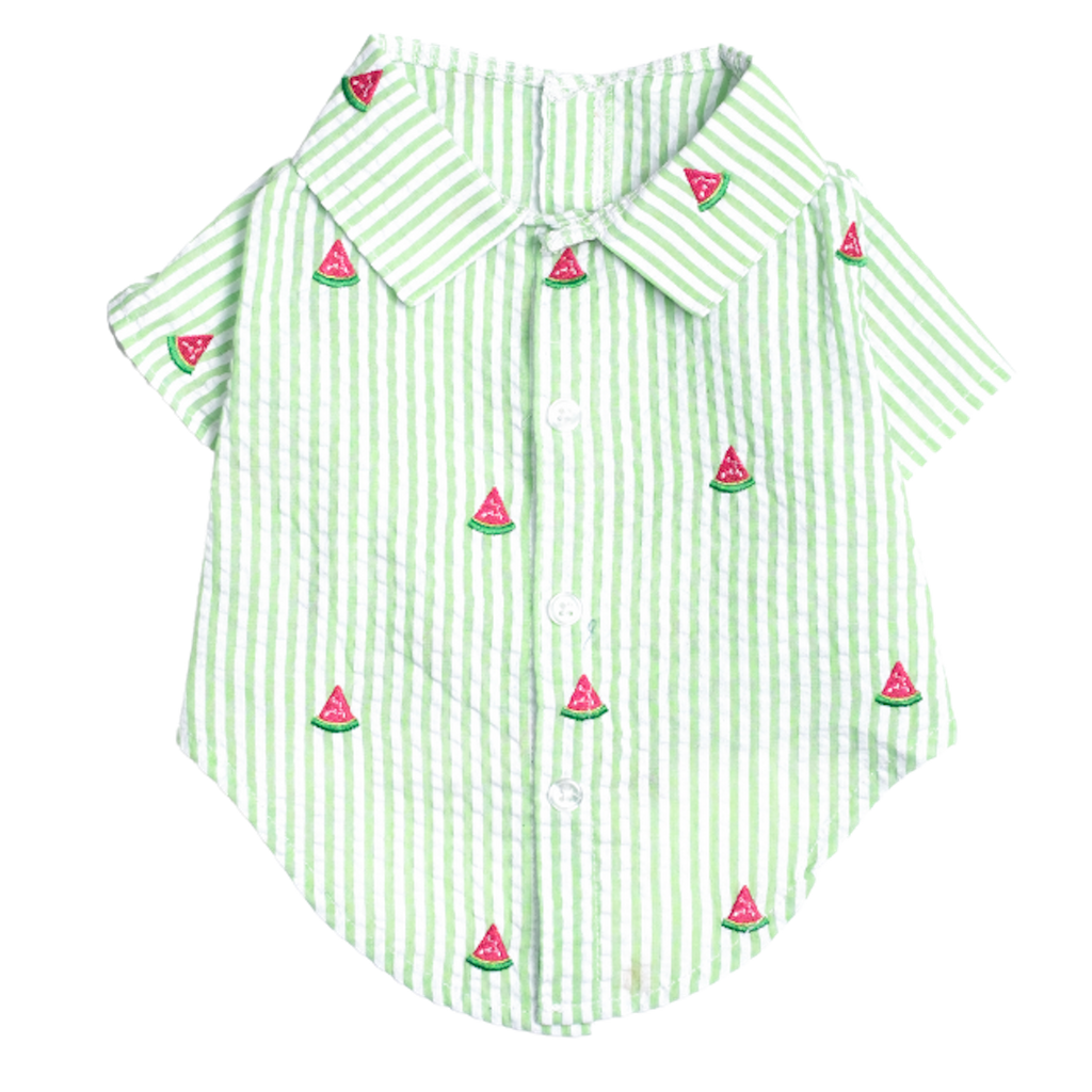 Shirt | Green Stripe Watermelon
