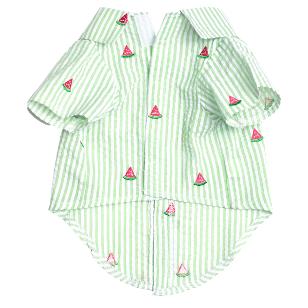 Shirt | Green Stripe Watermelon