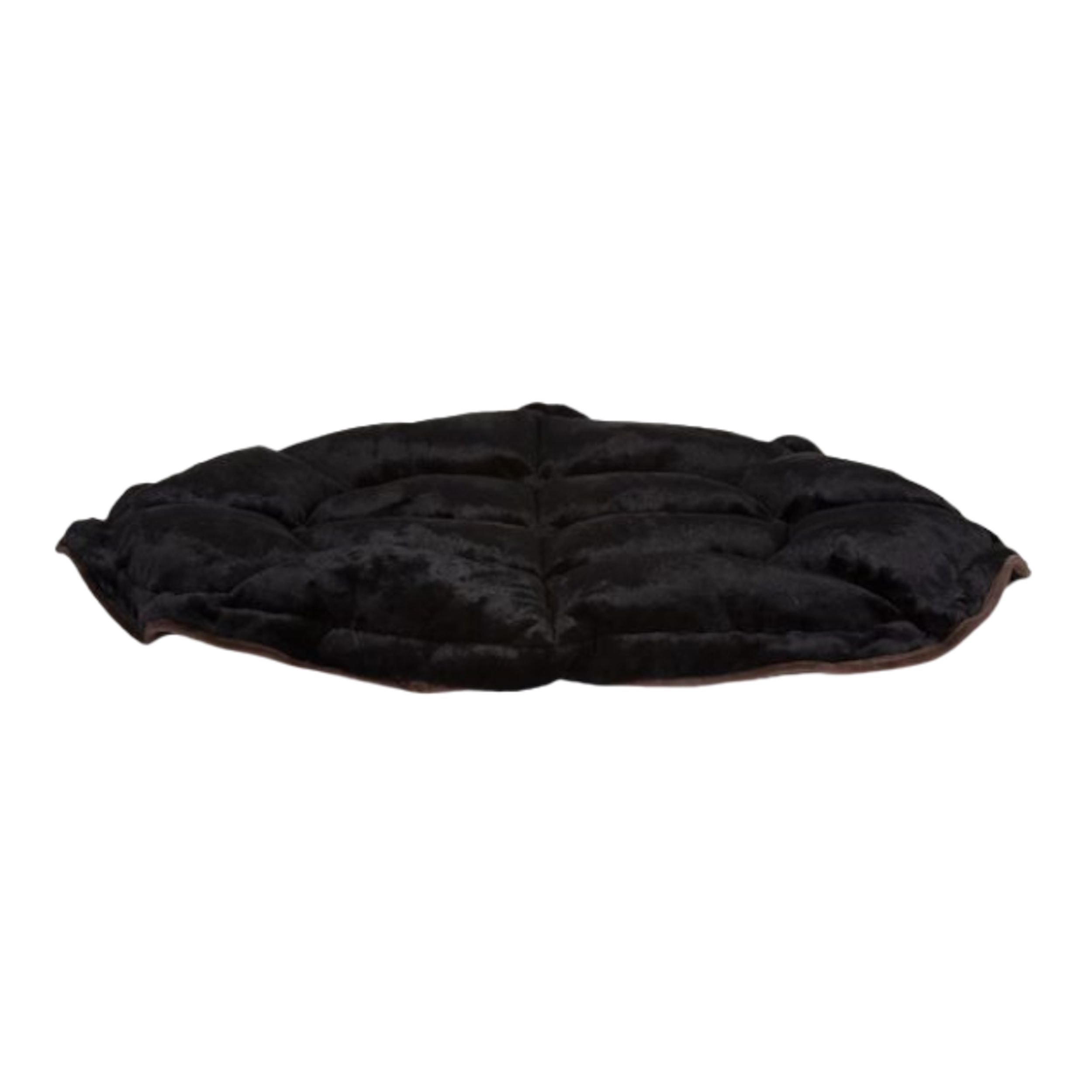 Lily Pad | Charcoal