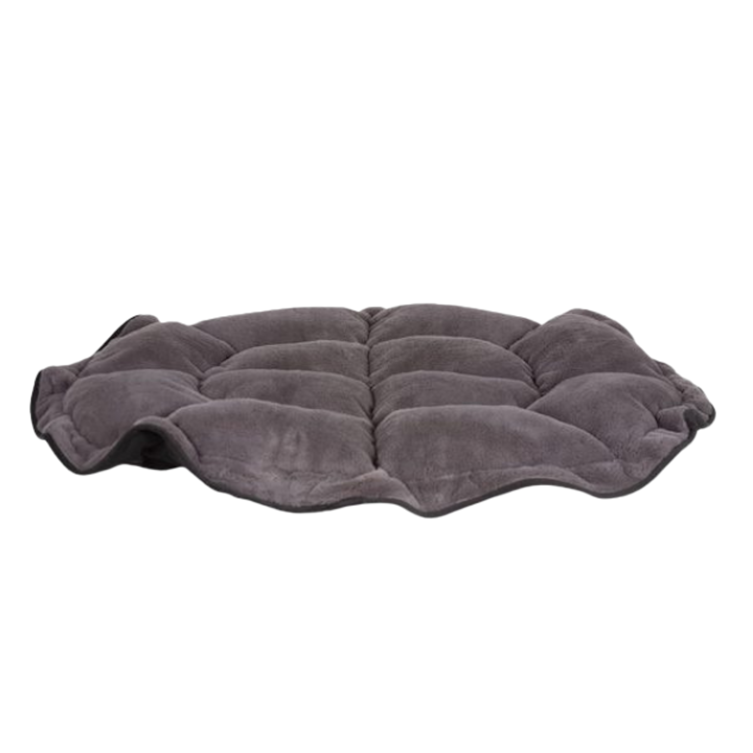 Lily Pad | Charcoal