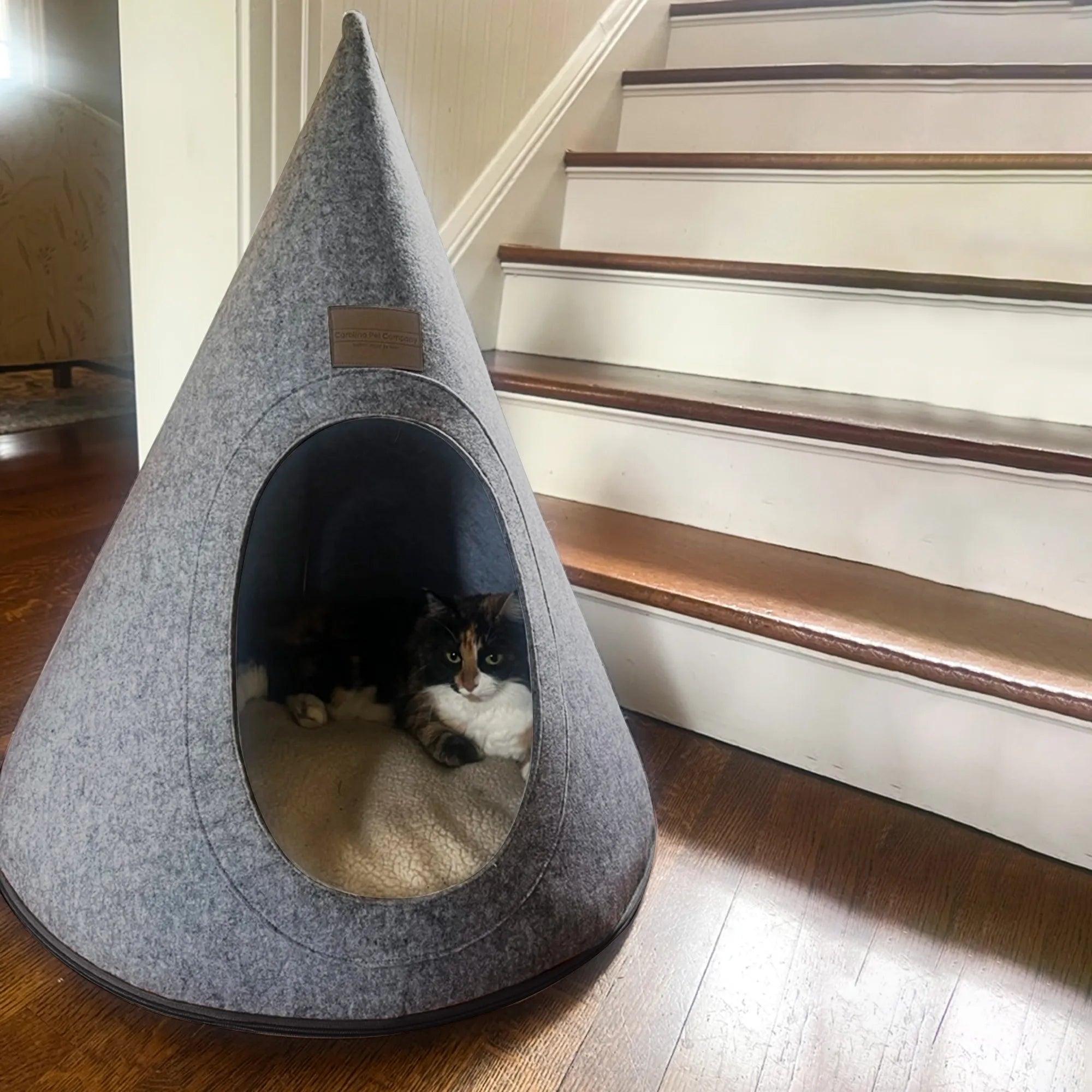 Kitty Cove Bed | Charcoal